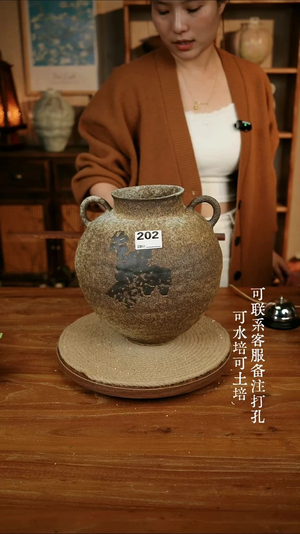 摆件202侘寂风双耳瓶可水培可土培