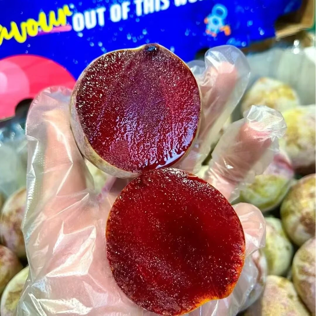 新疆蜥蜴蛋树苗京东直发2年树苗2棵