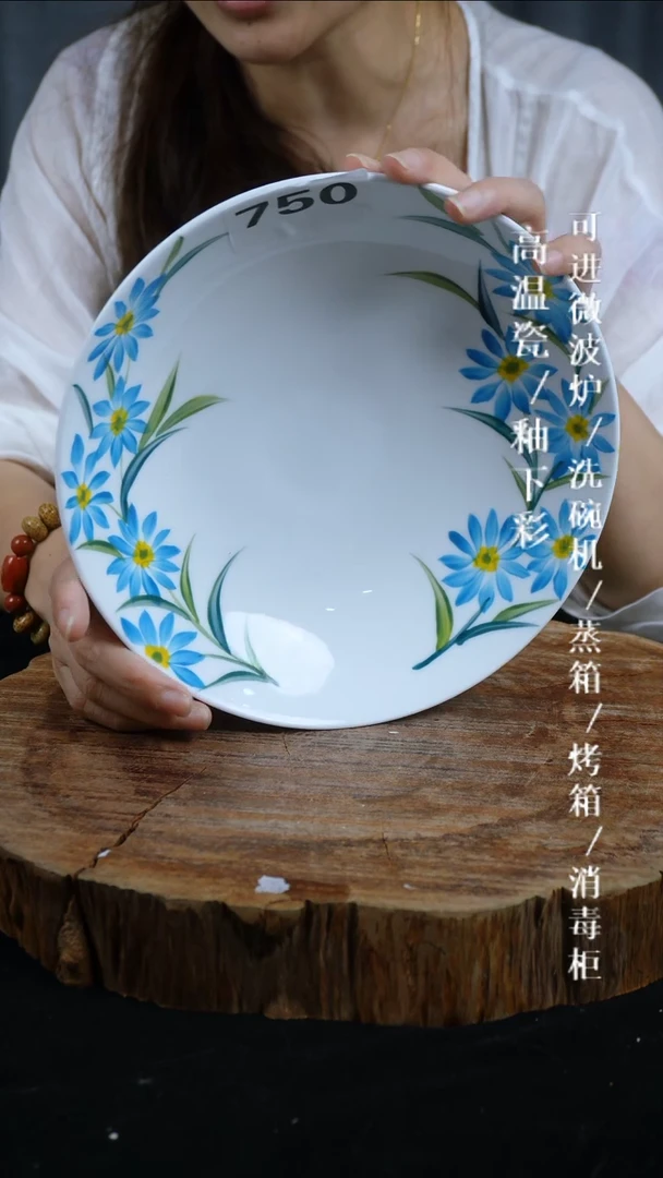 其他高温瓷（圆深盘）750