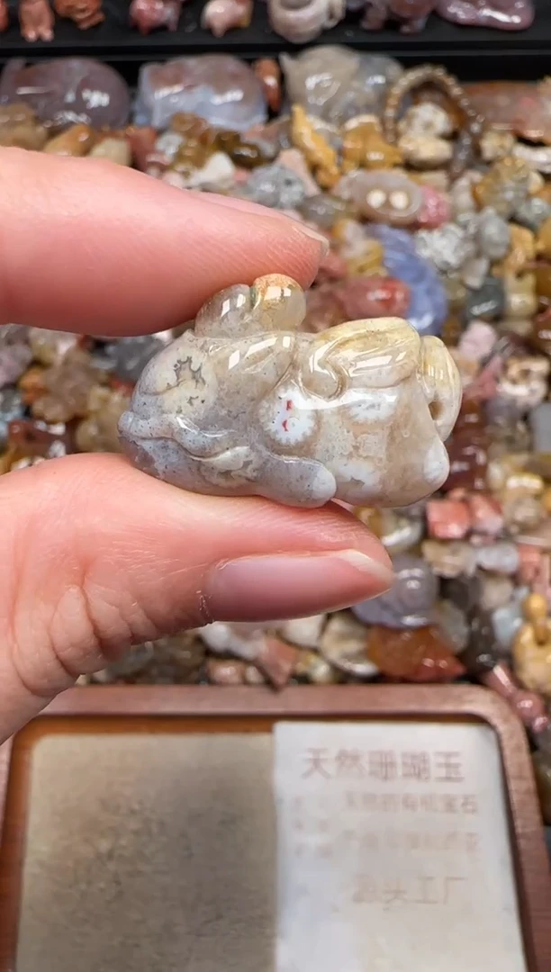 硅化珊瑚（珊瑚玉）未镶嵌颈饰283