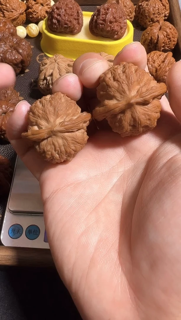 把件核桃40尺全品血麒麟