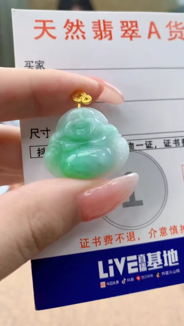 颈饰未镶嵌翡翠天然A货翡翠挂件