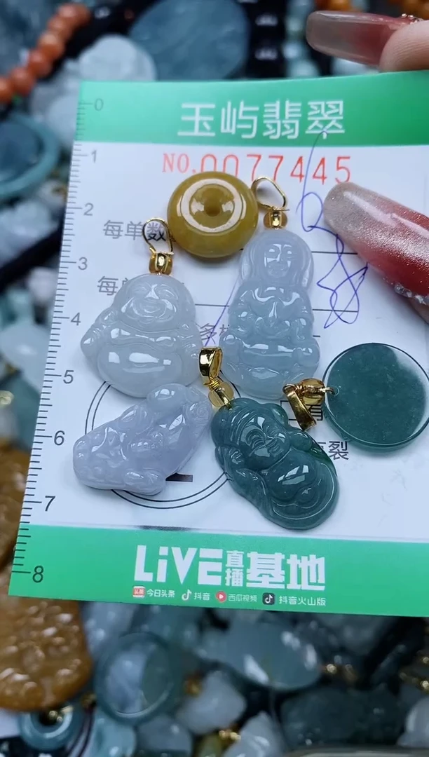 【闪购商品】翡翠颈饰未镶嵌闪购0077445多样性发其一