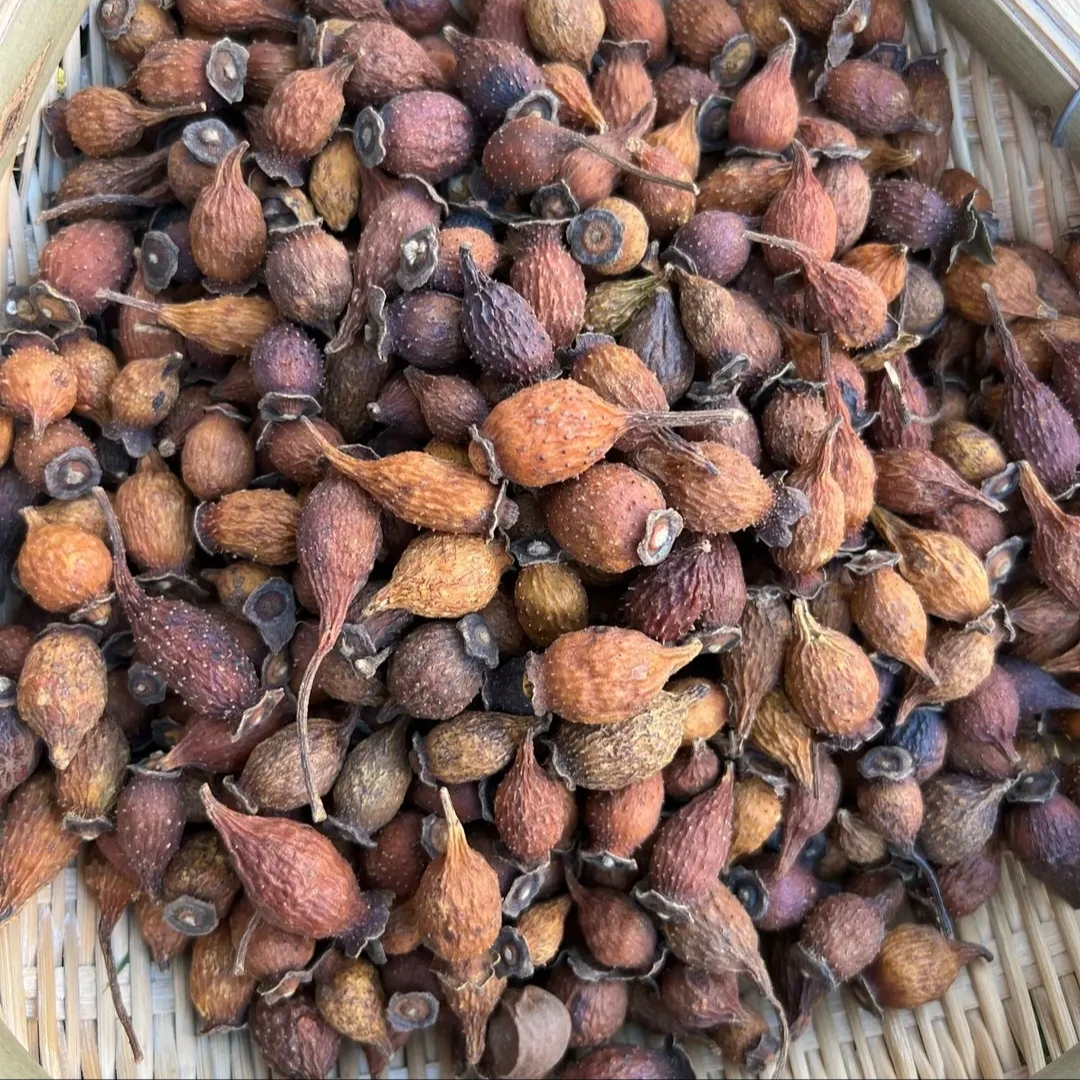 【乐乐助农】代收农家土特产干货金樱子1斤装