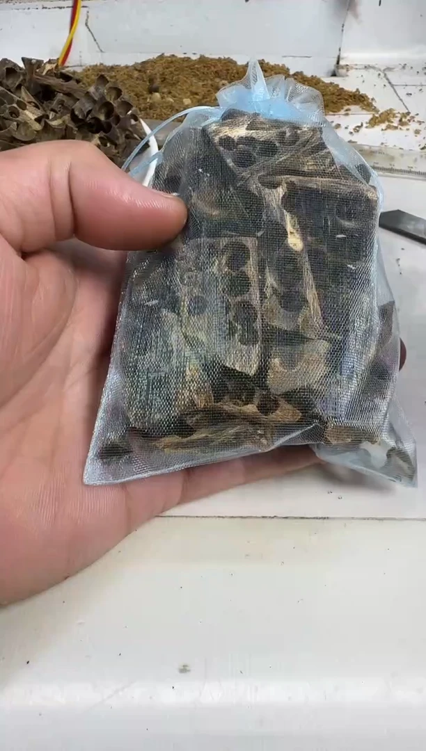 沉香碎屑沉香绿棋楠沉香碎料50克沉水