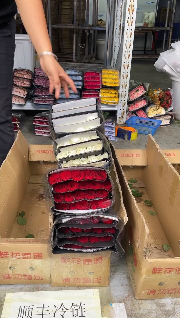 高原红40枝+骄傲40枝