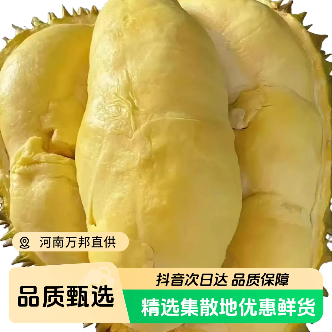 zz金枕榴莲【顺丰次日达】泰国A级树熟金枕头鲜榴莲3-9斤（核小香甜软)金枕泰国东部新鲜金枕泰国东部