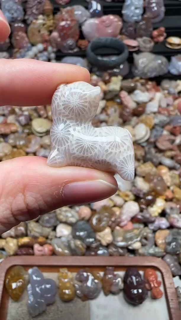 颈饰未镶嵌硅化珊瑚（珊瑚玉）146