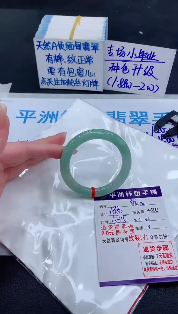 未镶嵌手镯翡翠1111111