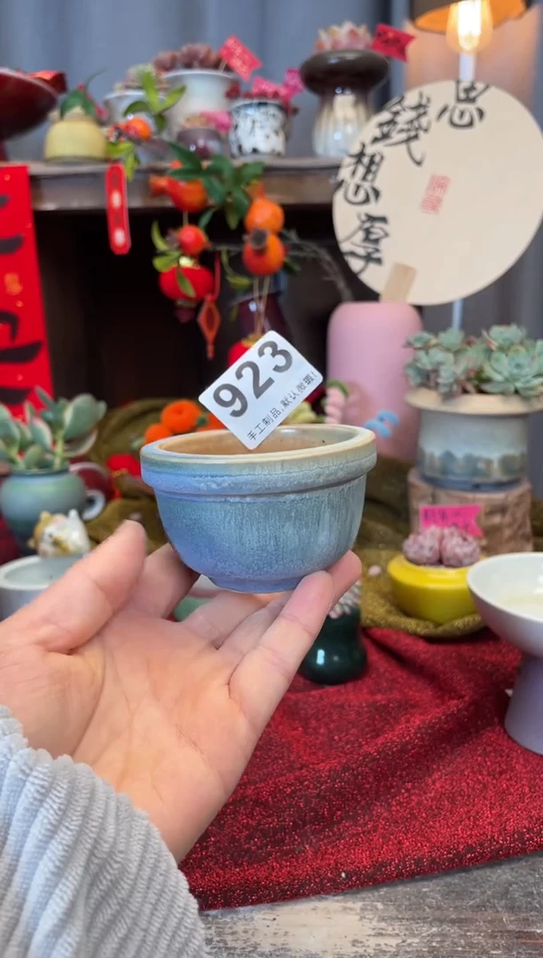 【闪购商品】摆件923知木小芳花盆