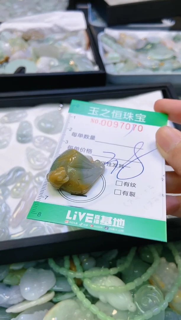 翡翠未镶嵌颈饰闪购0097070