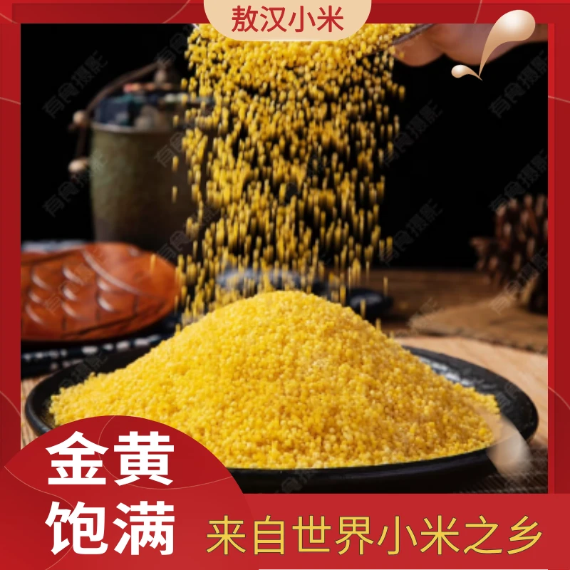 敖汉大金苗小米2.5Kg敖汉小米新米现磨色泽金黄h