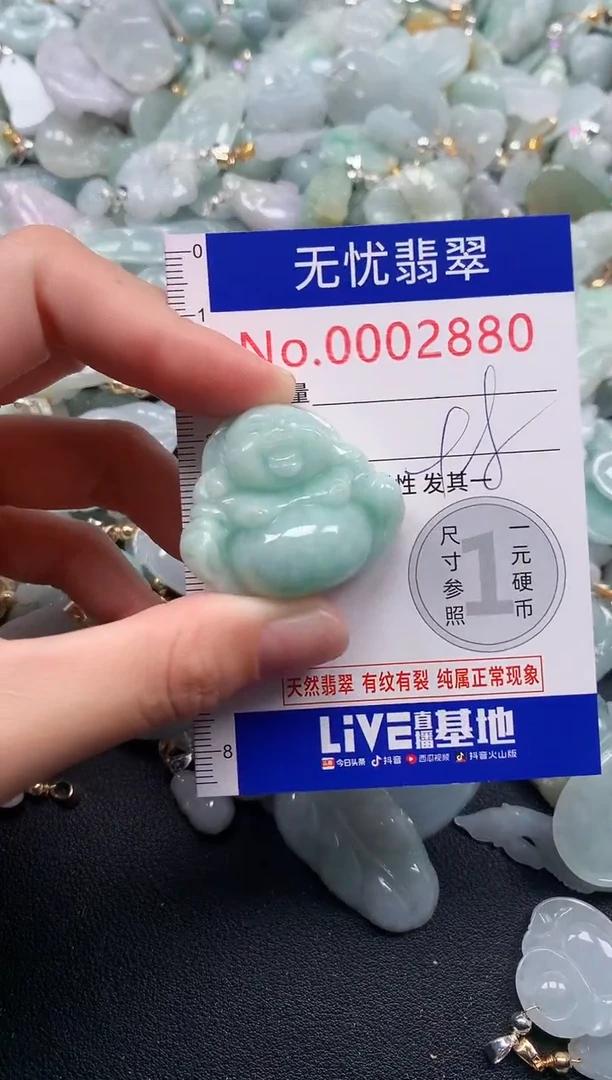 颈饰未镶嵌翡翠2880