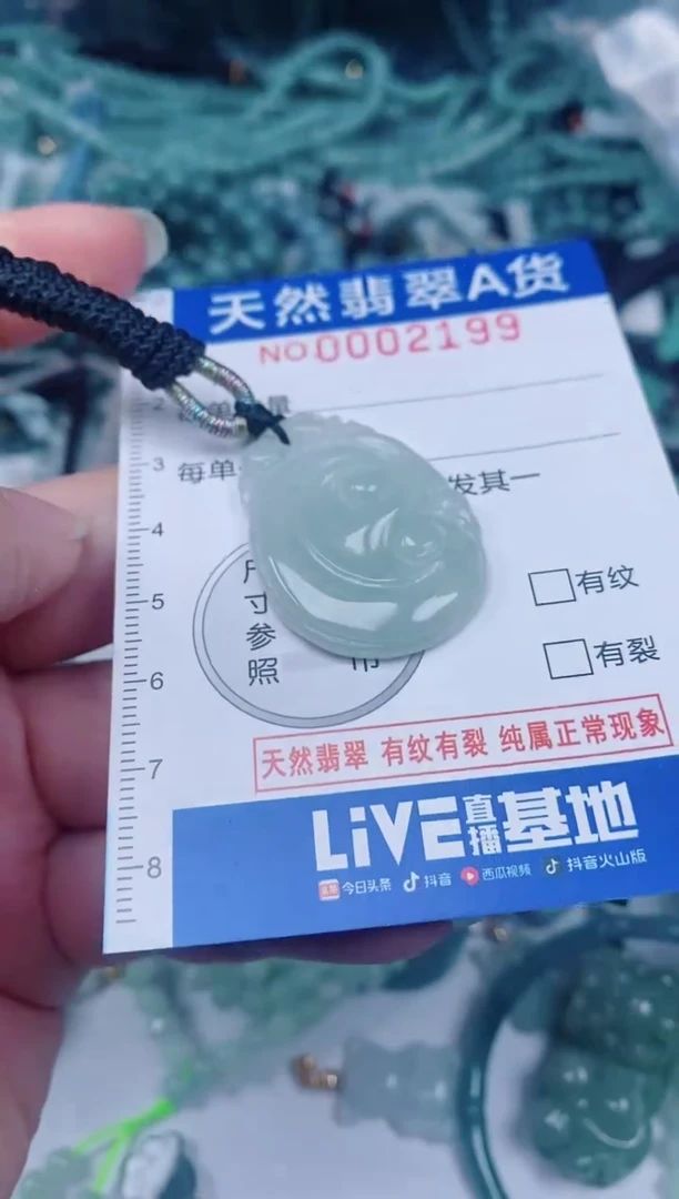 颈饰未镶嵌翡翠00002199