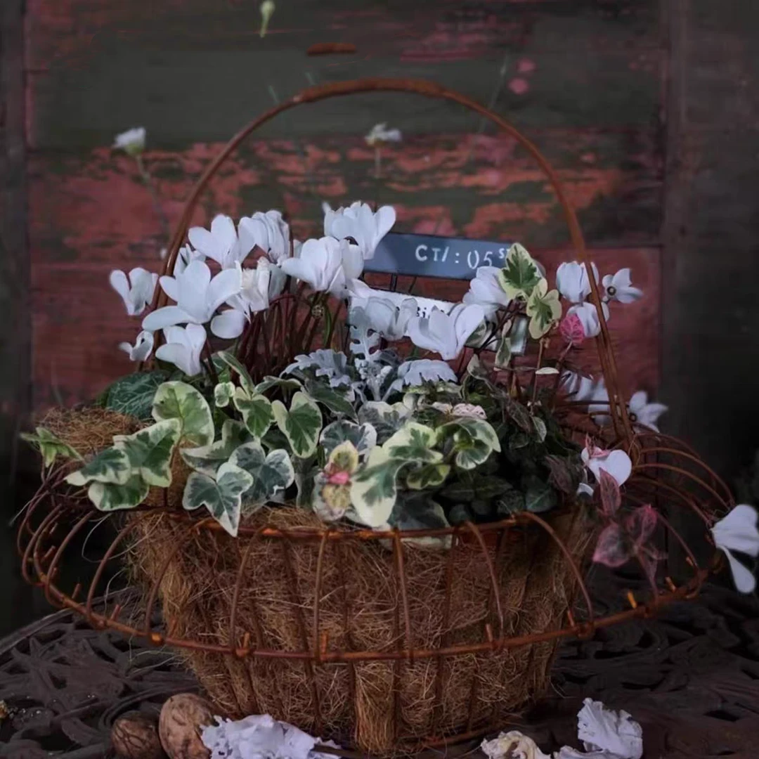 【南乔花园】翻边铁丝花篮 组盆种植花篮