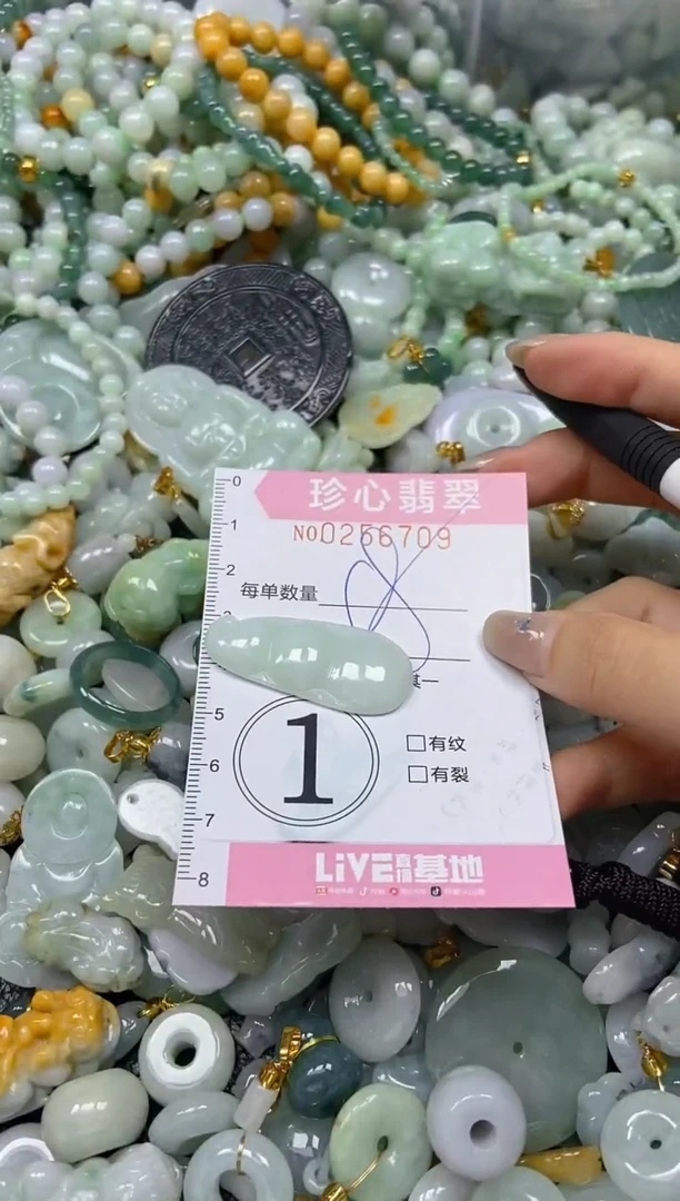 翡翠未镶嵌颈饰闪购0256709