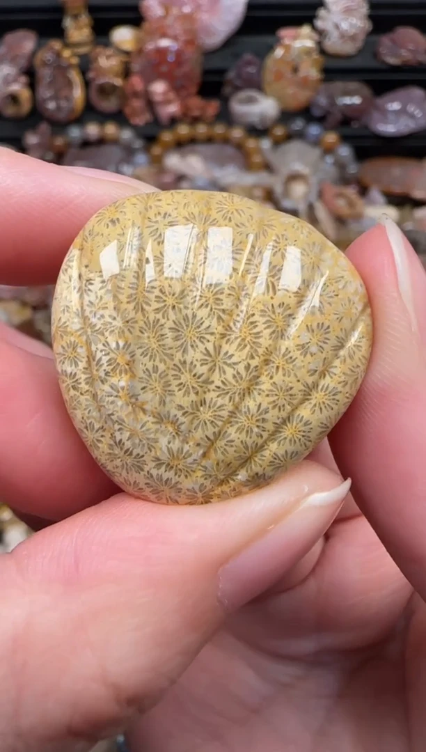 颈饰未镶嵌硅化珊瑚（珊瑚玉）853