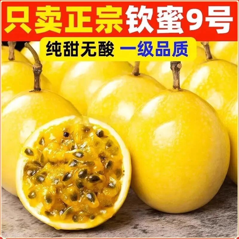 广西钦蜜9号新鲜包邮大果百香果黄金百香果原浆黄晶果当季水果