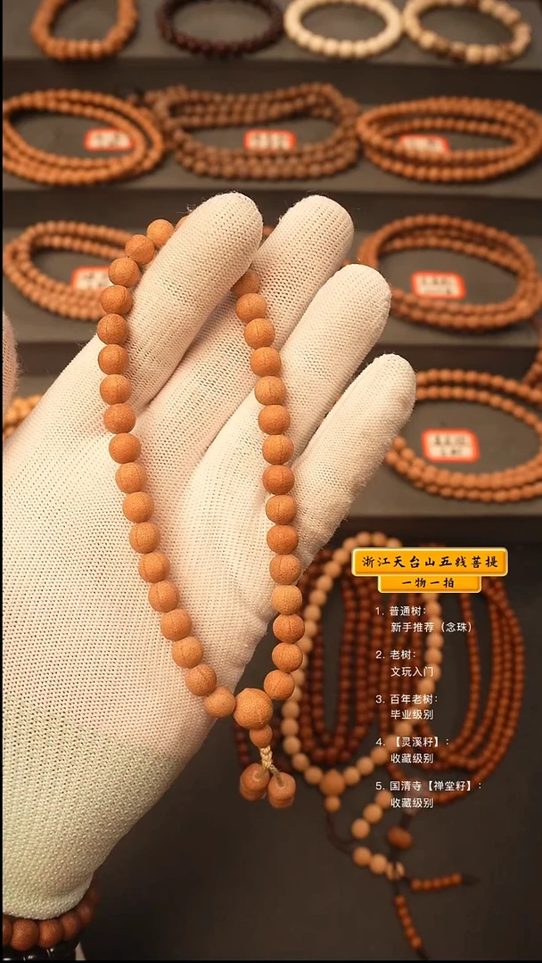 吊坠五线菩提手持