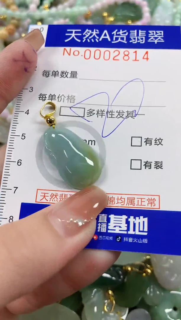 颈饰未镶嵌翡翠天然A货翡翠