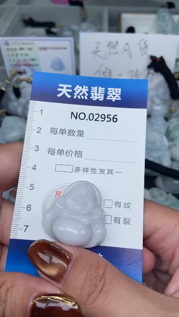 颈饰未镶嵌翡翠纯天然A货翡翠2956