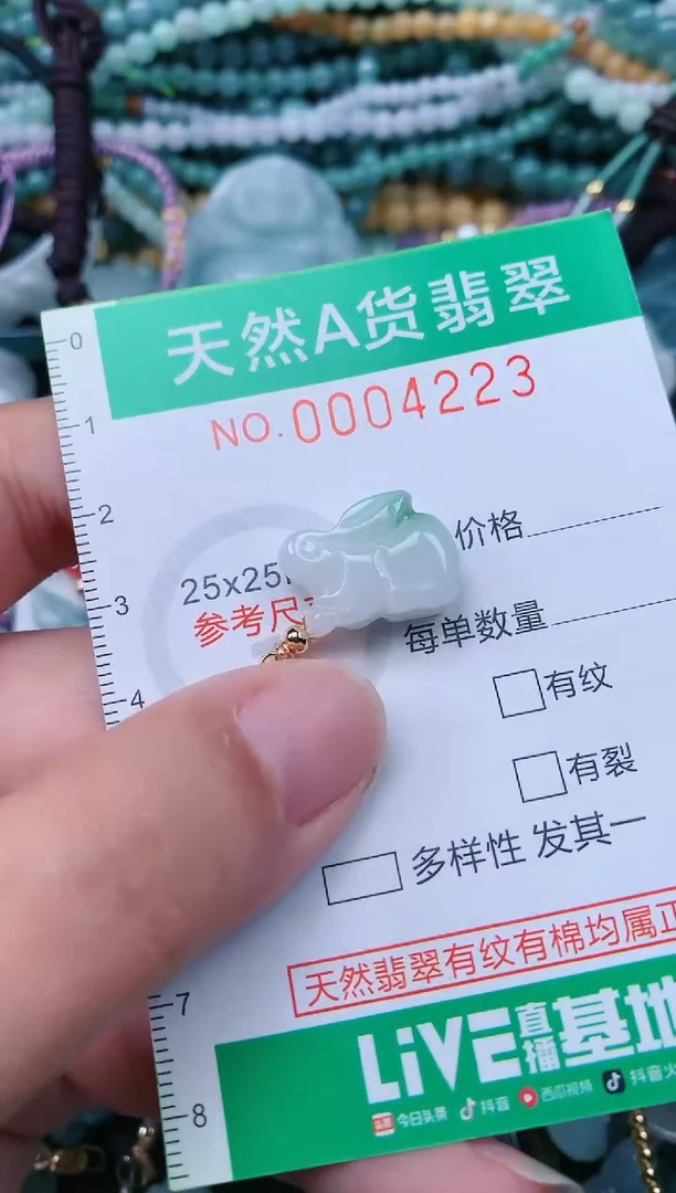 颈饰未镶嵌翡翠.0004223