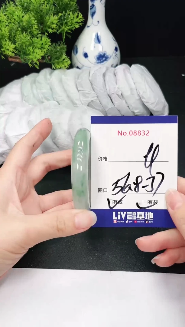 未镶嵌手镯翡翠8832