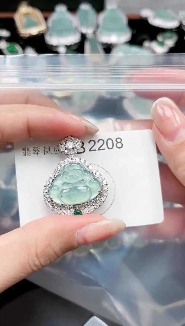 【闪购商品】翡翠颈饰未镶嵌赠皮绳2208