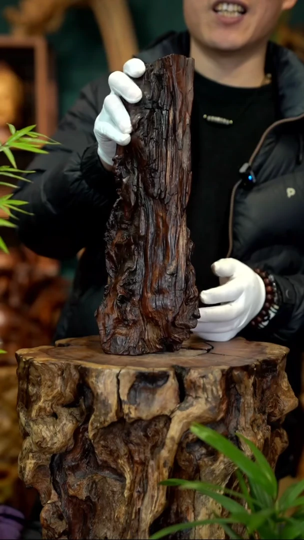 木雷击枣木雷晶半壁江山