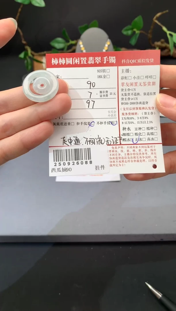 颈饰未镶嵌翡翠姐姐250926088