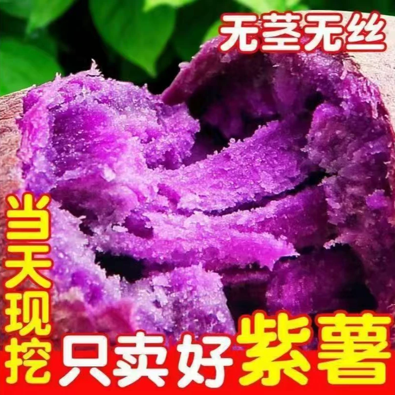 【现采现发】新鲜紫薯香甜粉糯健康粗粮早餐老少皆宜