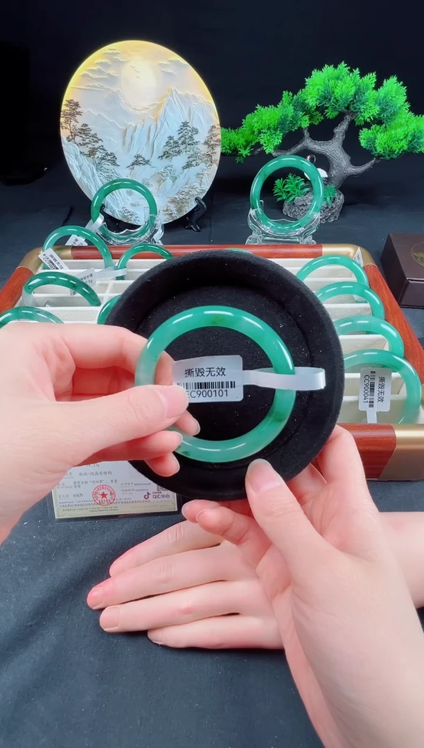 未镶嵌手镯石英质玉（非洲翠）真品上等纯天然非洲翠玉手镯石英质玉