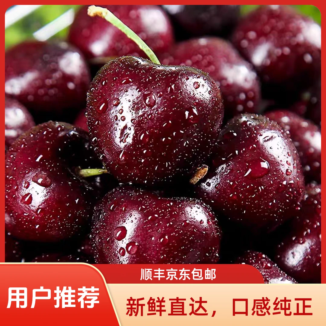 【果园直发】美早大樱桃现摘现发J-5J空运1-5斤