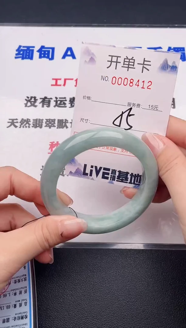 未镶嵌手镯翡翠12