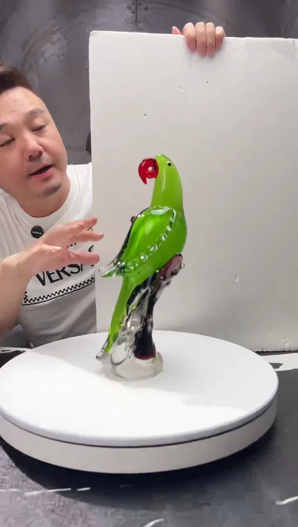 茶宠巴比特美学 鹦鹉