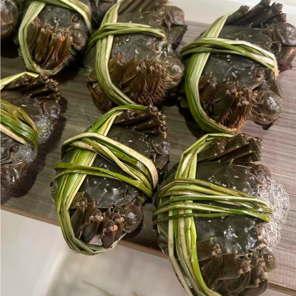 【活蟹】兴化大闸蟹母蟹 2.8-3.1两8-10只装鲜活现货（中秋活动）包邮