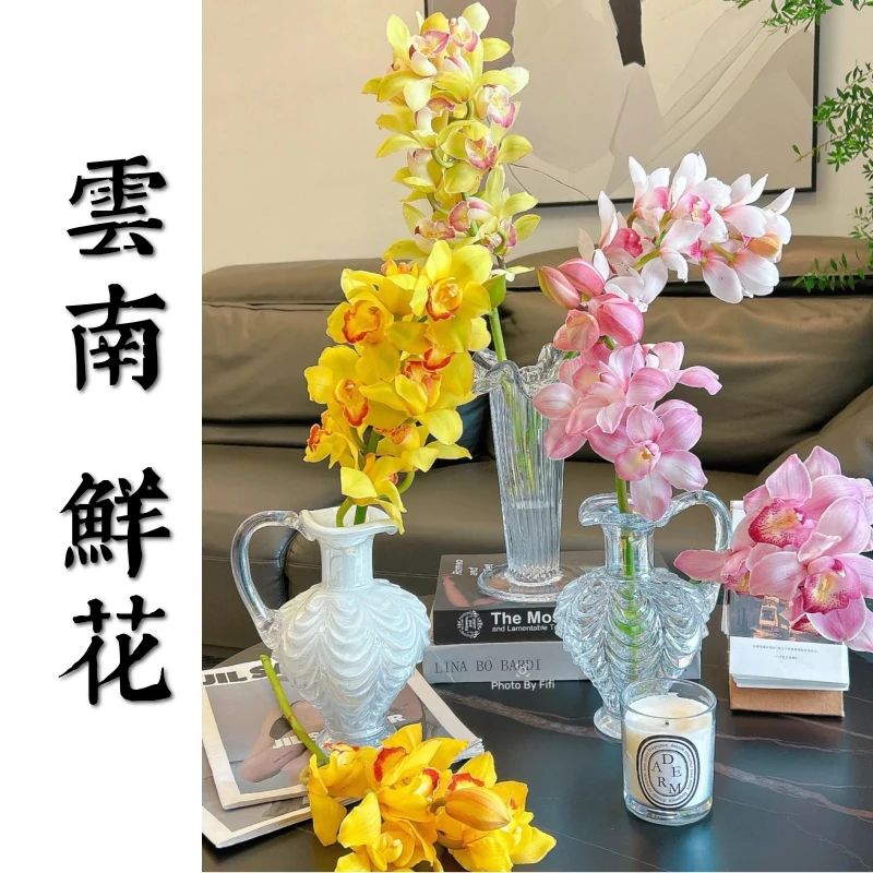鲜花甄选【大花蕙兰】 云南鲜花基地直发