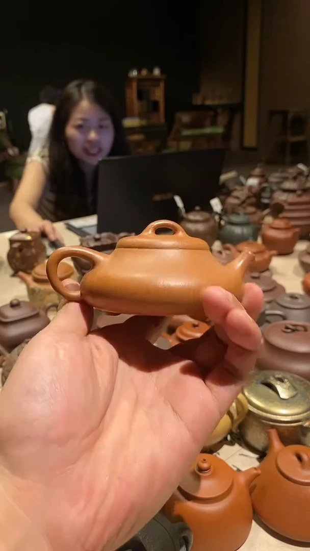 茶壶紫砂石瓢石瓢