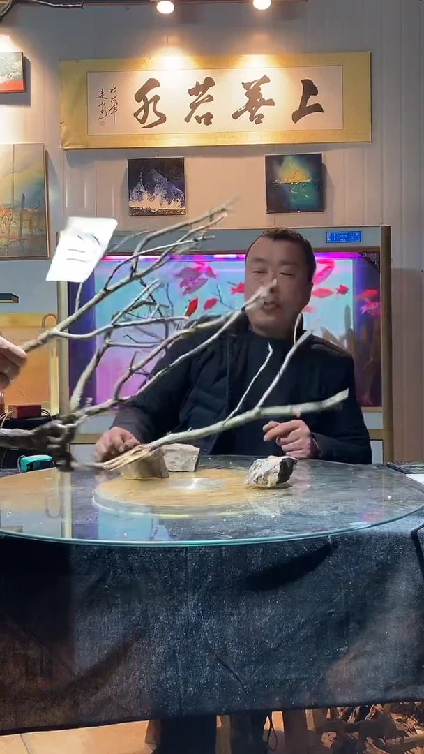 113号天然黄梨木