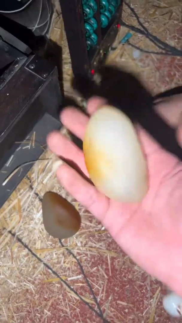 玉闪购商品高端专用连