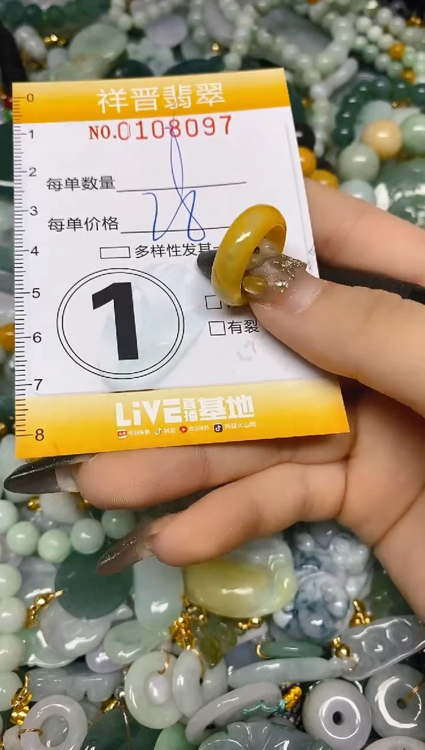 【闪购商品】翡翠颈饰未镶嵌闪购0108097