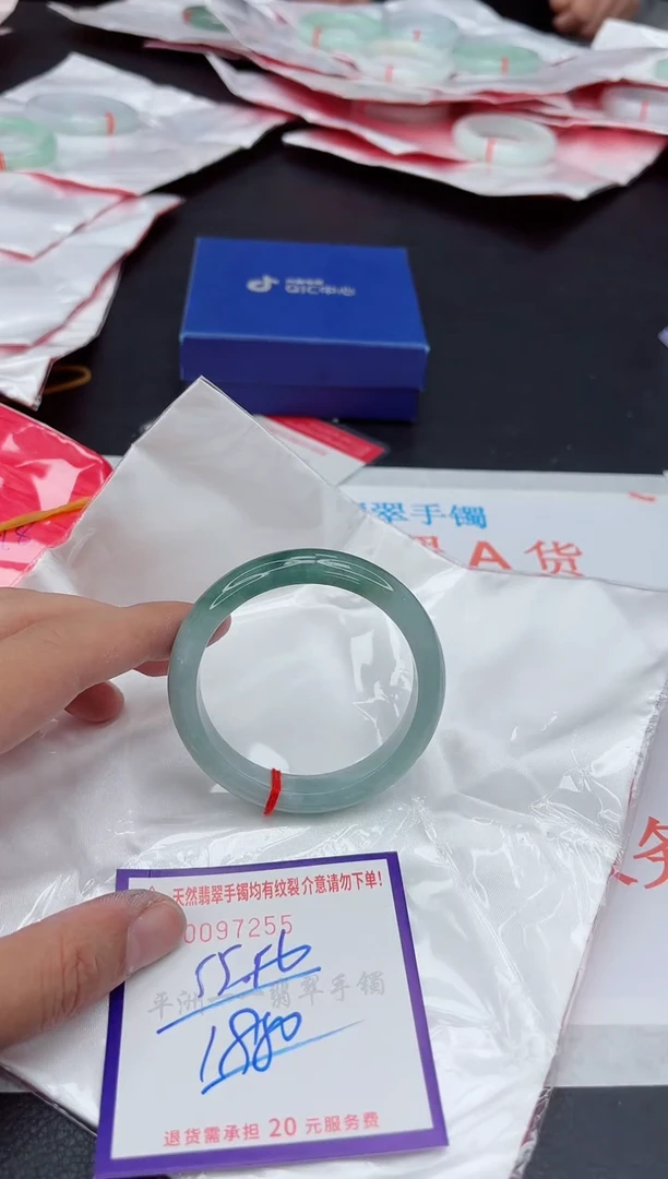未镶嵌手镯翡翠11111