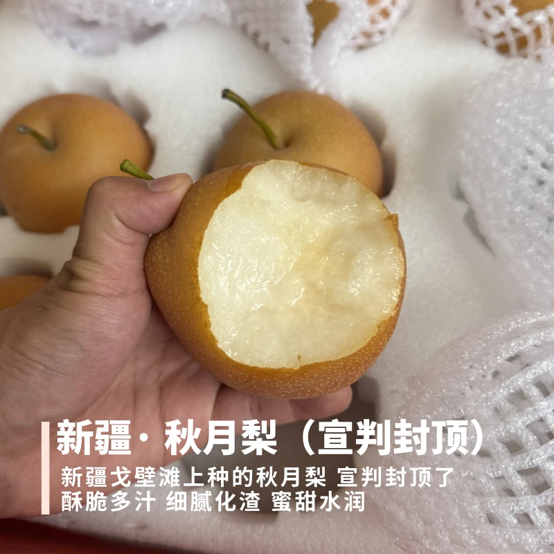 新疆秋月梨 缺水且不用膨大剂个头小 蜜甜化渣冰糖味足【空运】 5斤