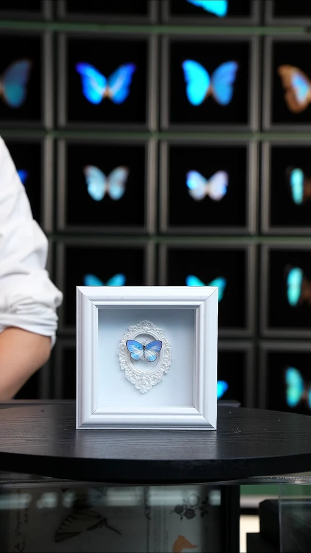 优雅灰蝶4寸方框