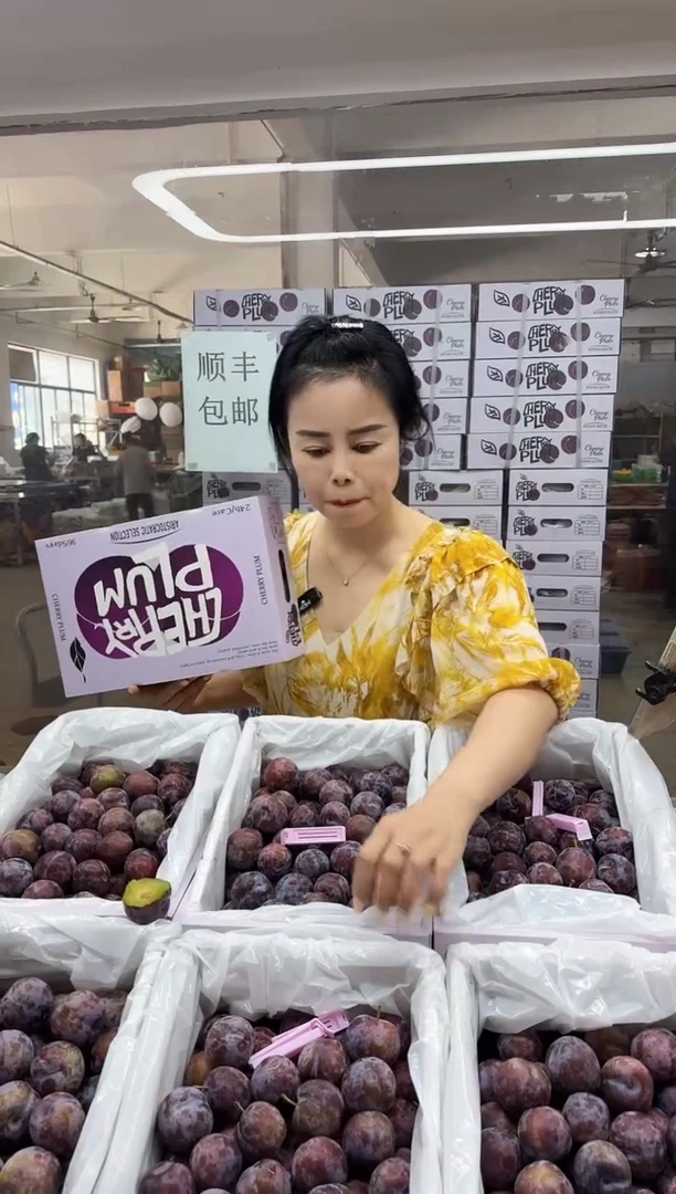 冰糖李樱桃李2箱礼盒 5.4斤