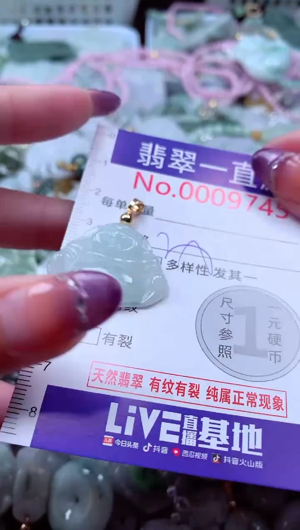 翡翠未镶嵌吊坠(不含链)9745