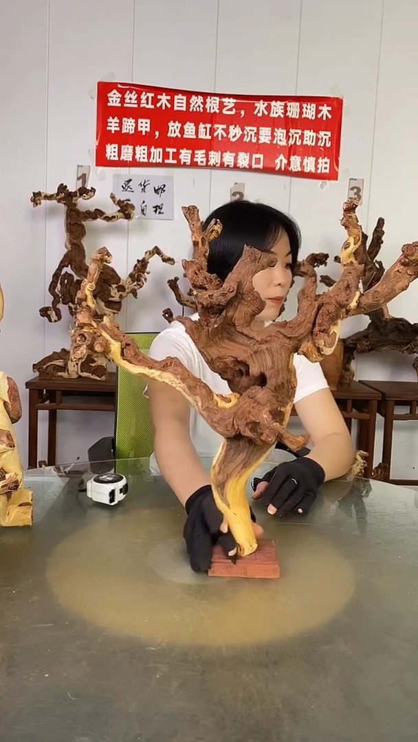 香榧木人****惜金丝红木 羊蹄甲