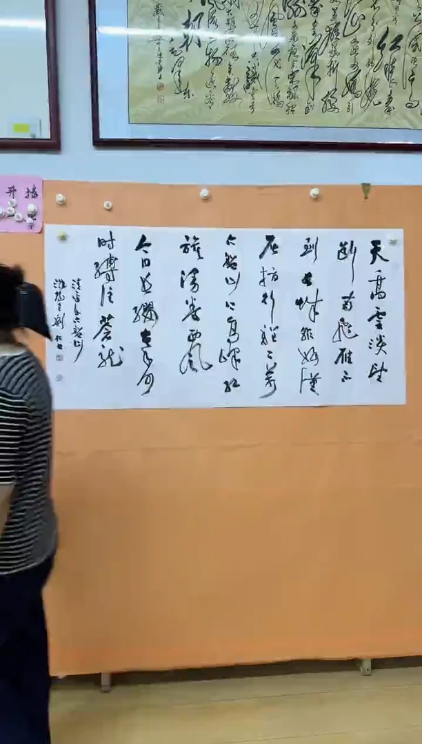 书法天高云淡作品
