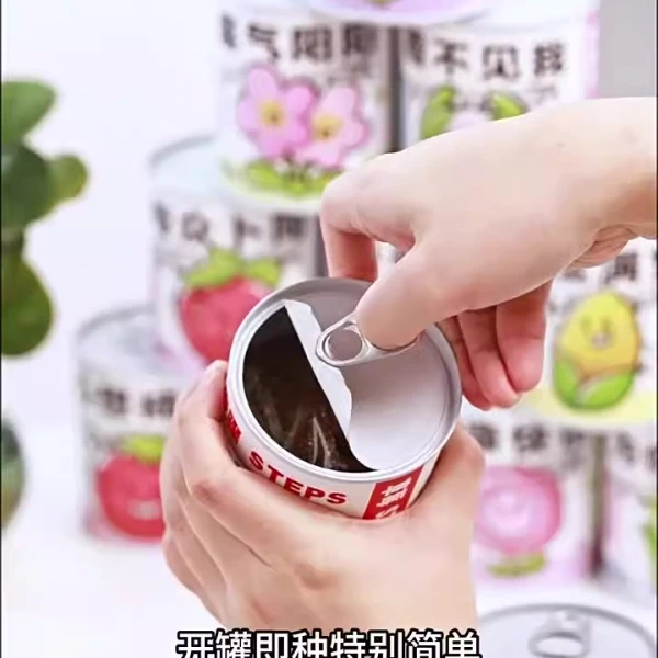 室内绿植卡通易拉罐罐头桌面迷你小盆栽儿幸运草满天星康乃馨