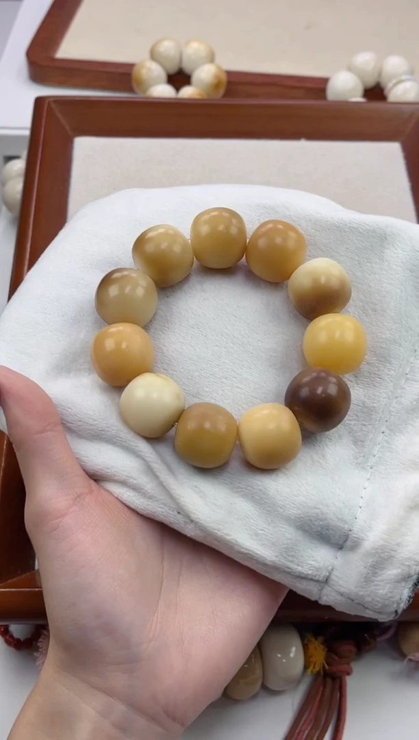 手串菩提根/象牙果r07干磨苹果桶21mm手串